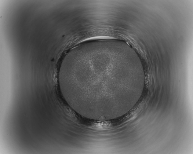 X0000094350466200711021436