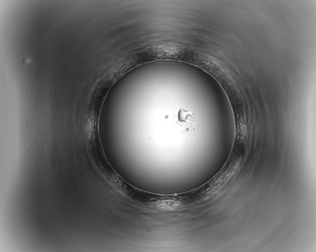 X0000094350468200711021436