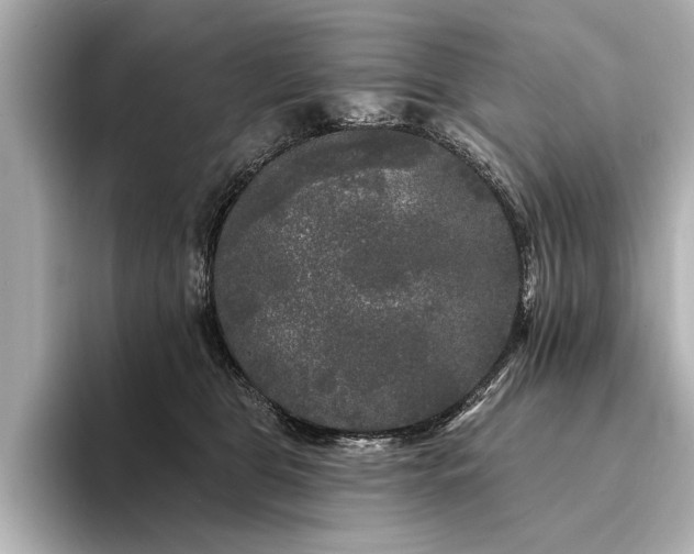 X0000094350469200711021436