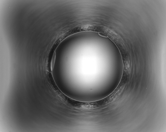 X0000094350470200711021436