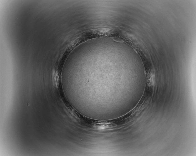 X0000094350472200711021436