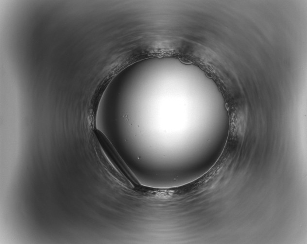 X0000094350474200711021436