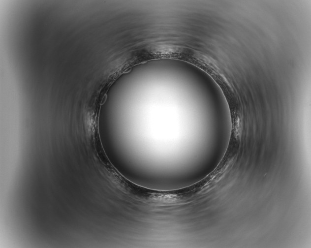 X0000094350476200711021436