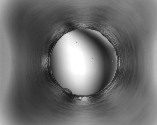 X0000094350478200711021436