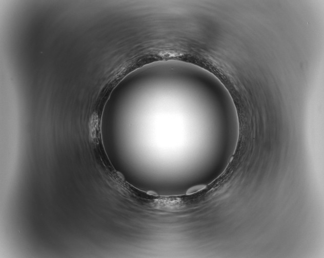 X0000094350480200711021436