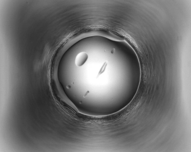 X0000094350482200711021435