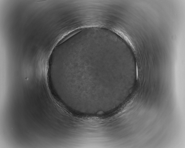 X0000094350483200711021435