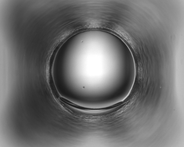 X0000094350485200711021435