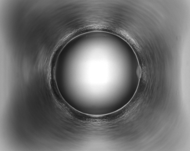 X0000094350486200711021435