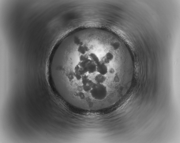 X0000094350487200711021435