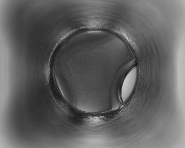 X0000094350488200711021435