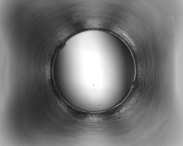 X0000094350489200711021435