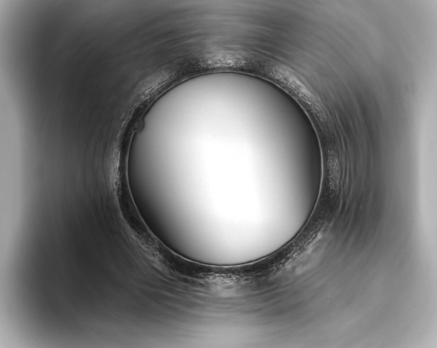 X0000094350490200711021435