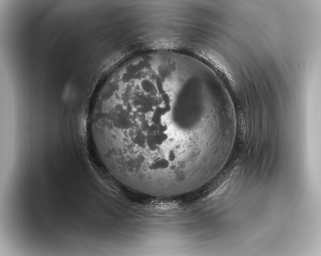 X0000094350491200711021435