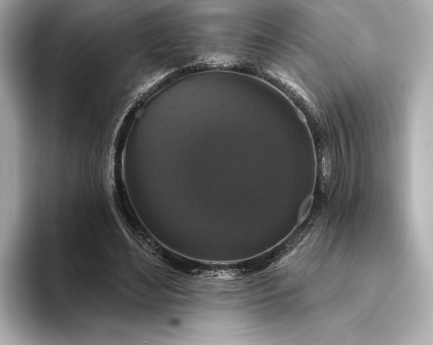 X0000094350492200711021435