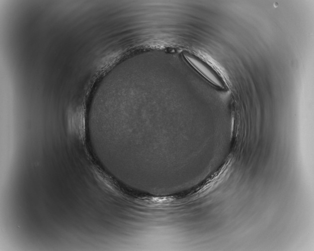 X0000094350493200711021435