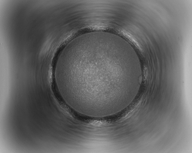 X0000094350494200711021435