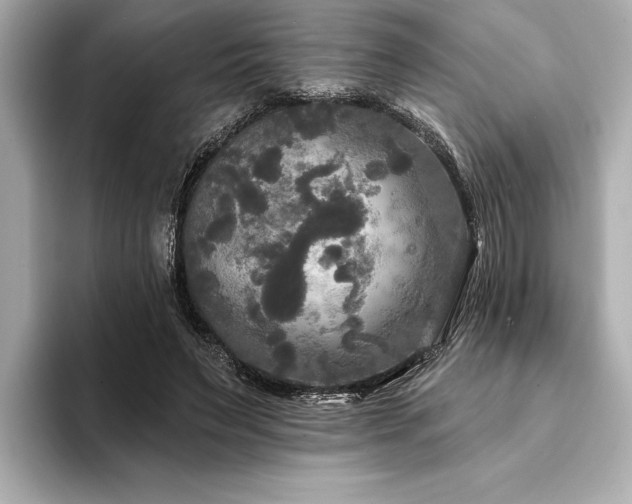 X0000094350495200711021435