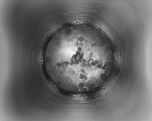 X0000094350499200711021435