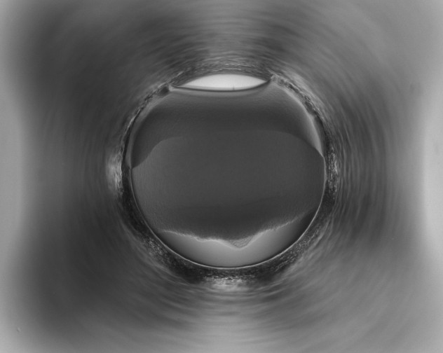 X0000094350500200711021435