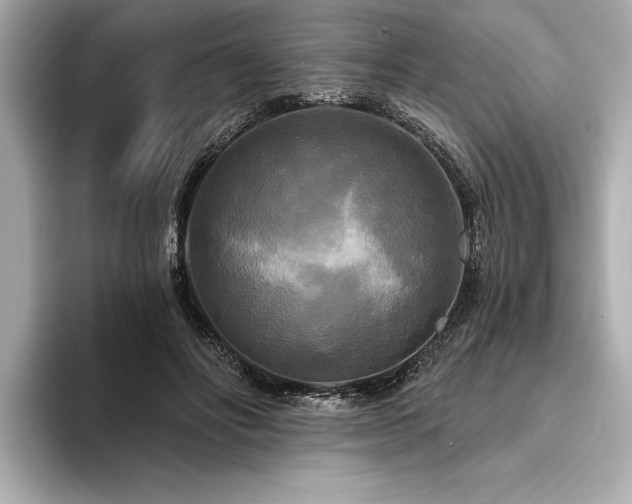 X0000094350502200711021435