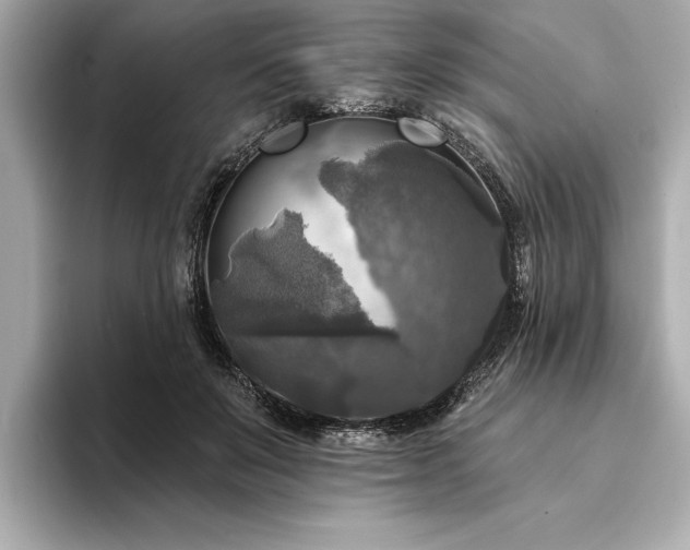 X0000094350503200711021435