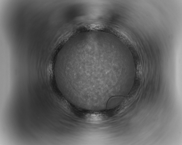 X0000094350506200711021435