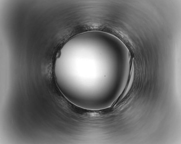 X0000094350509200711021435