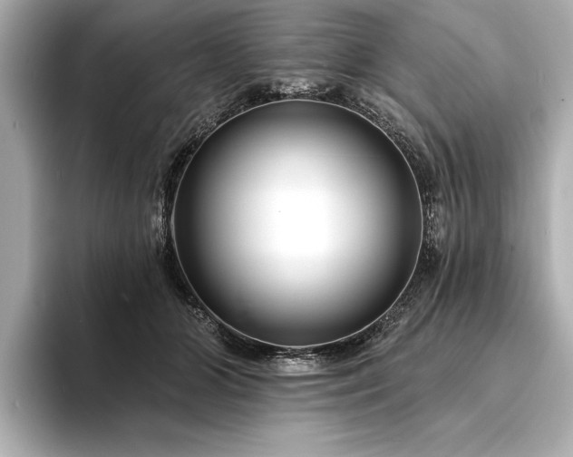 X0000094350510200711021435