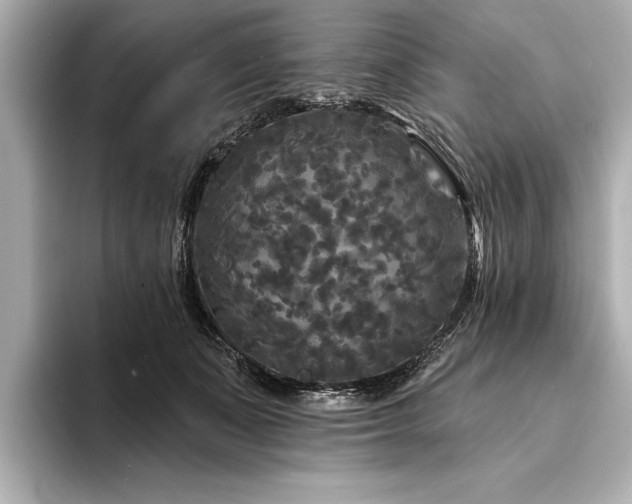 X0000094350511200711021435