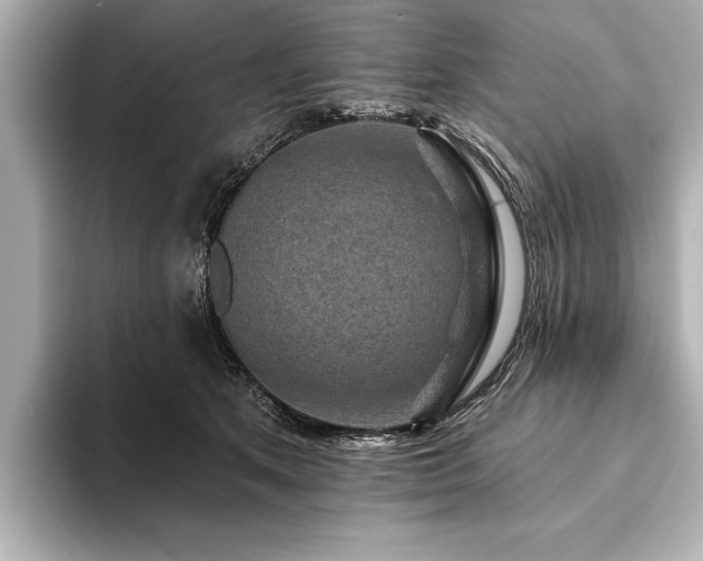 X0000094350513200711021435