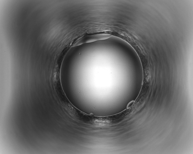 X0000094350515200711021435