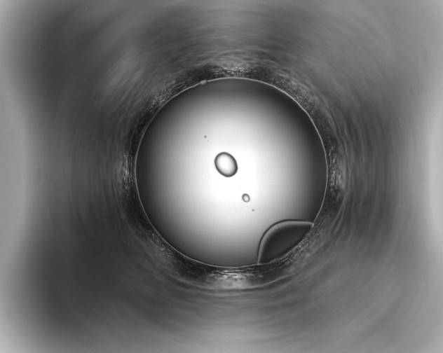 X0000094350518200711021435