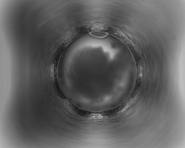 X0000094350519200711021435