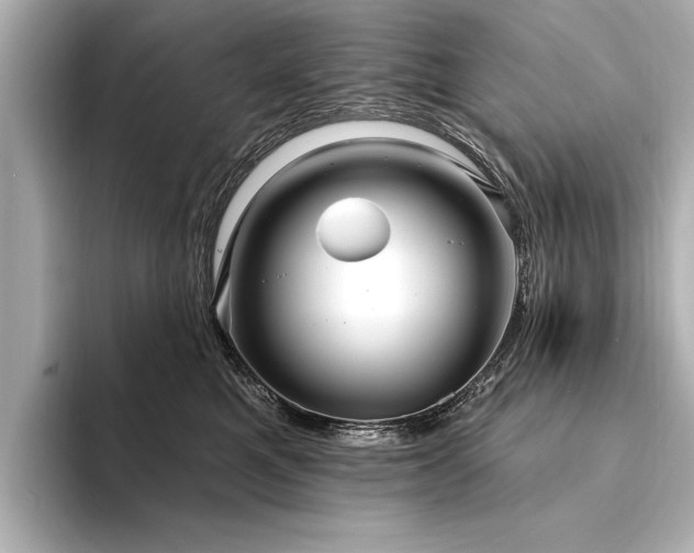 X0000094350521200711021435