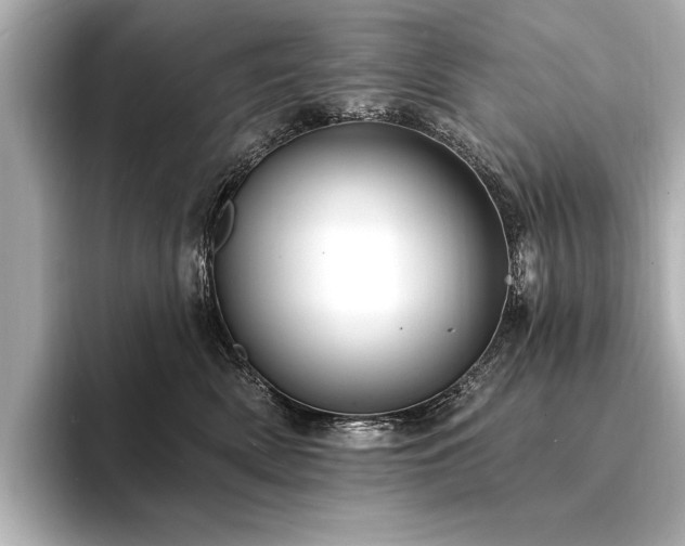 X0000094350522200711021435