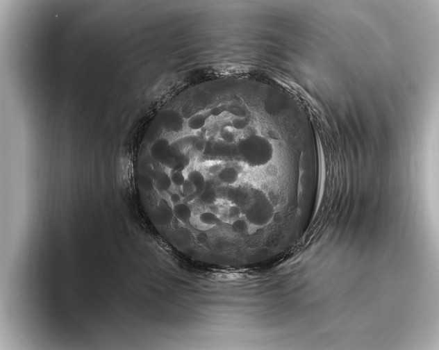 X0000094350523200711021435