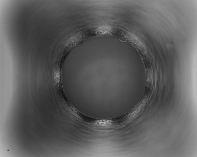 X0000094350526200711021435