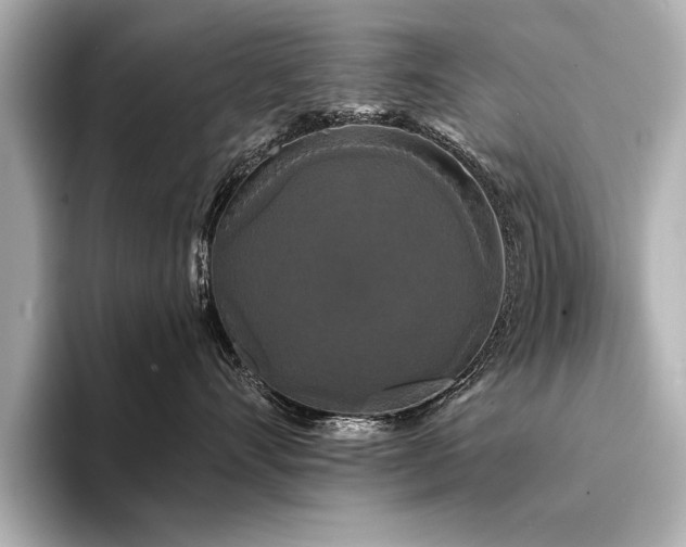 X0000094350528200711021435