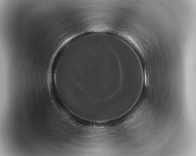 X0000094350531200711021434