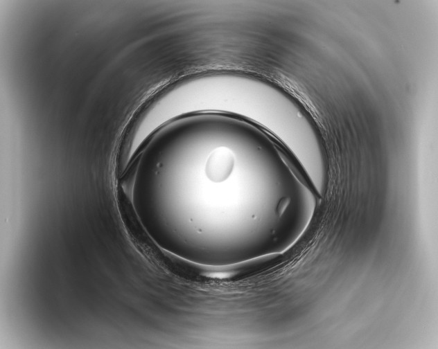 X0000094350534200711021434