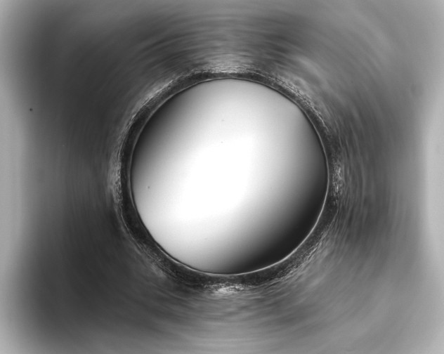 X0000094350535200711021434