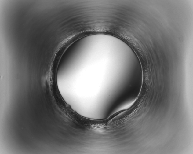 X0000094350536200711021434