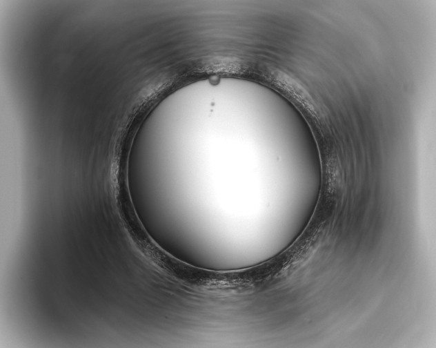 X0000094350538200711021434