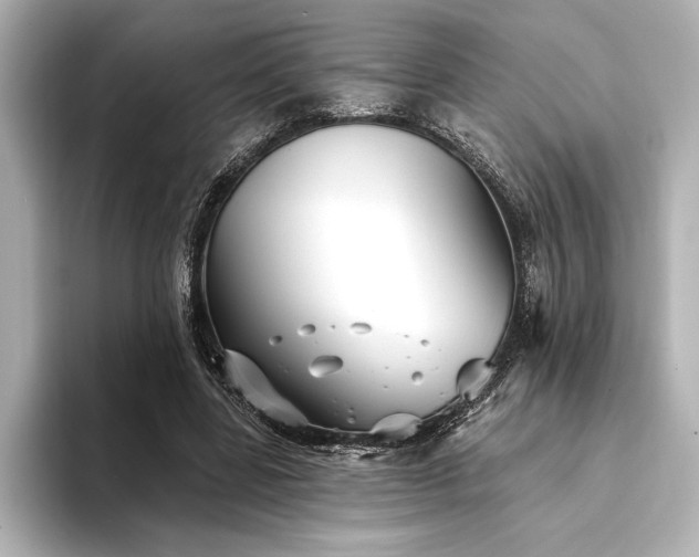 X0000094350539200711021434