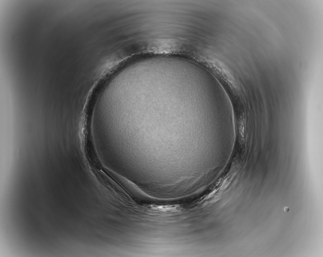 X0000094350540200711021434