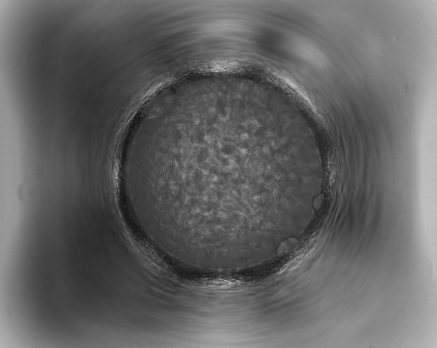 X0000094350542200711021434