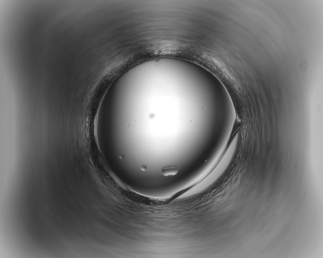 X0000094350543200711021434