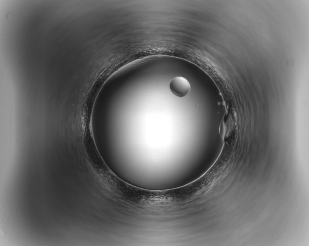 X0000094350546200711021434