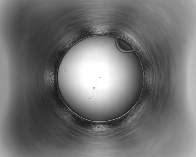 X0000094350549200711021434